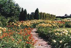 Arboretum i liliowce (Ogród Botaniczny PAN)